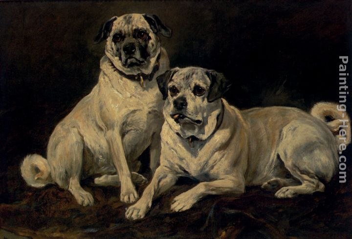 John Emms Pugs